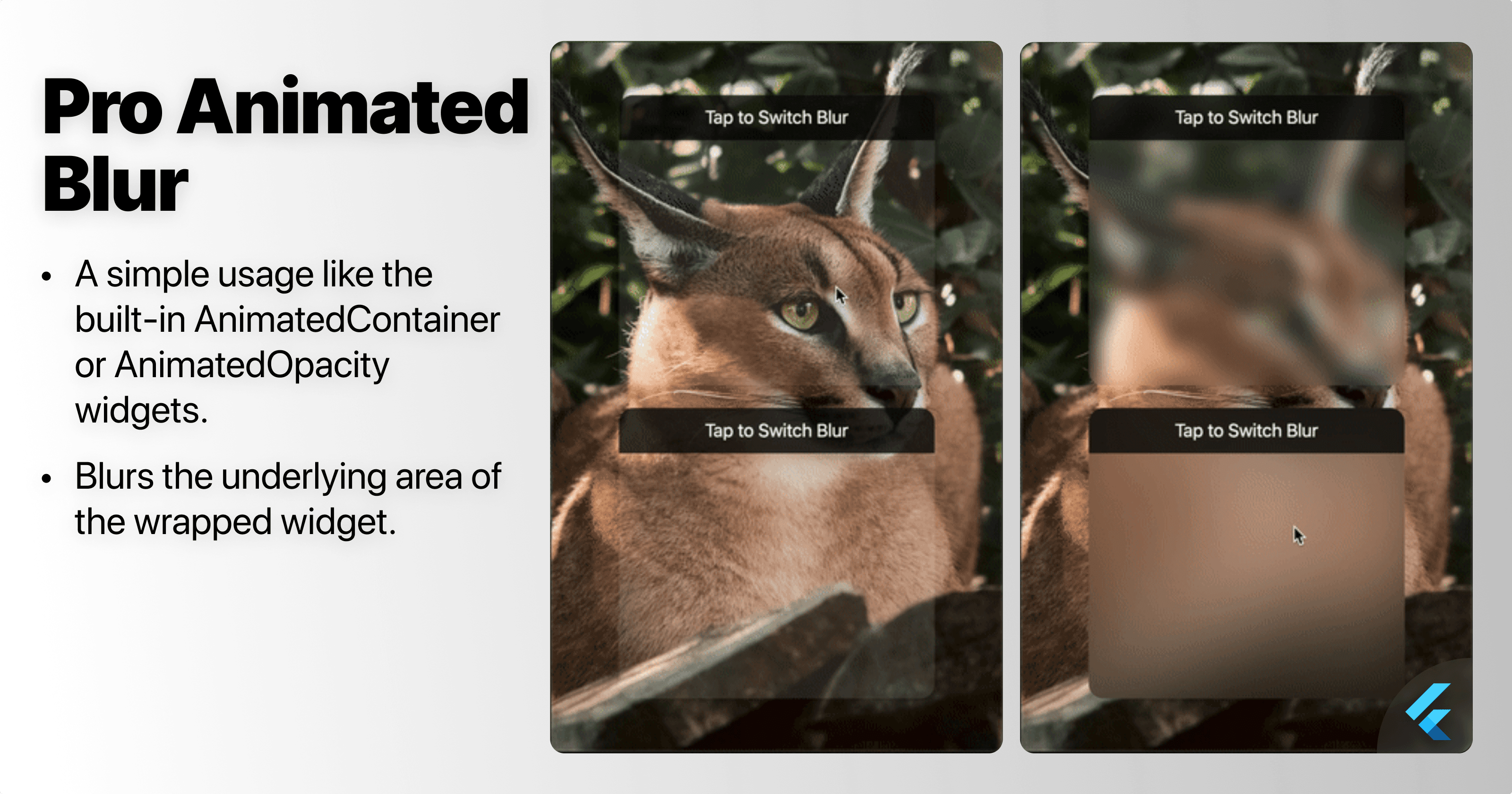 ProAnimatedBlur - Flutter Package [Public]